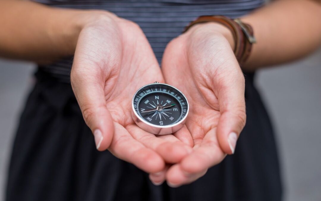 Feelings are not Facts: Understanding the Emotional Compass